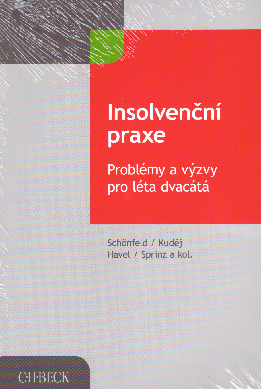 Insolvenční praxe. Problémy a výzvy pro léta dvacátá