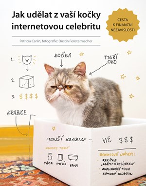 Jak udělat z vaší kočky internetovou celebritu