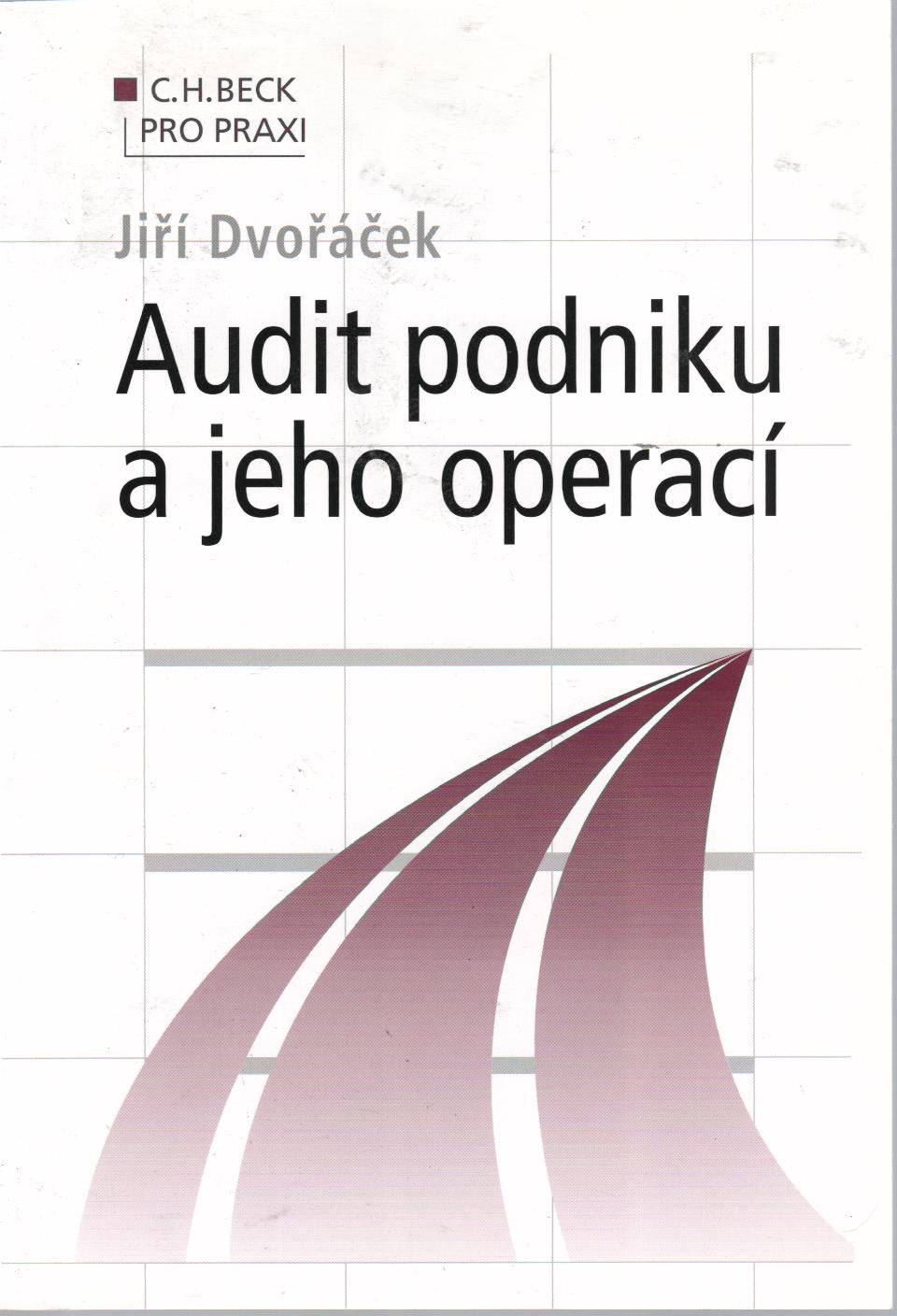 Audit podniku a jeho operací
