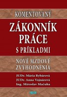 Komentovaný Zákonník práce s príkladmi. Nové mzdové zvýhodnenia