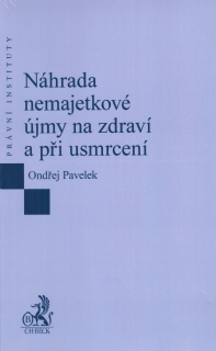 Náhrada nemajetkové újmy na zdraví a při usmrcení