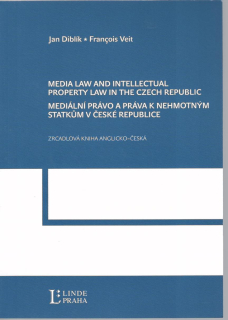 Mediální právo a práva k nehmotným statkům v České republice