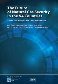 The Future of Natural Gas Security in the V4 Countries. A Scenario Analysis and 
