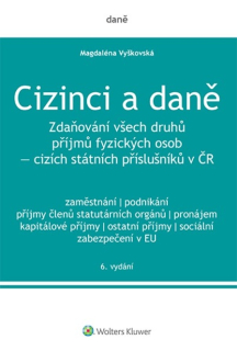 Cizinci a daně